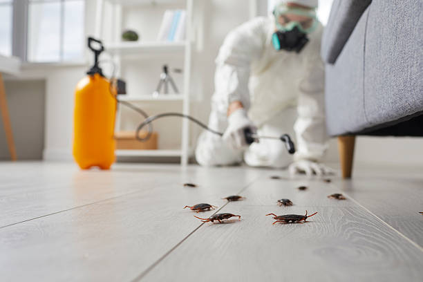 Commercial Kitchen Cockroach Control in Wathena